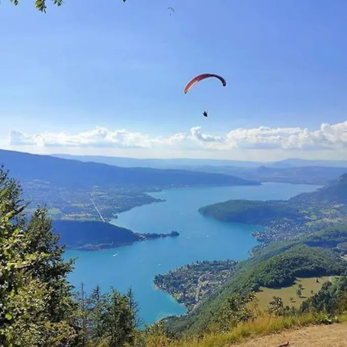 La Petite Escapade Apartment Seynod